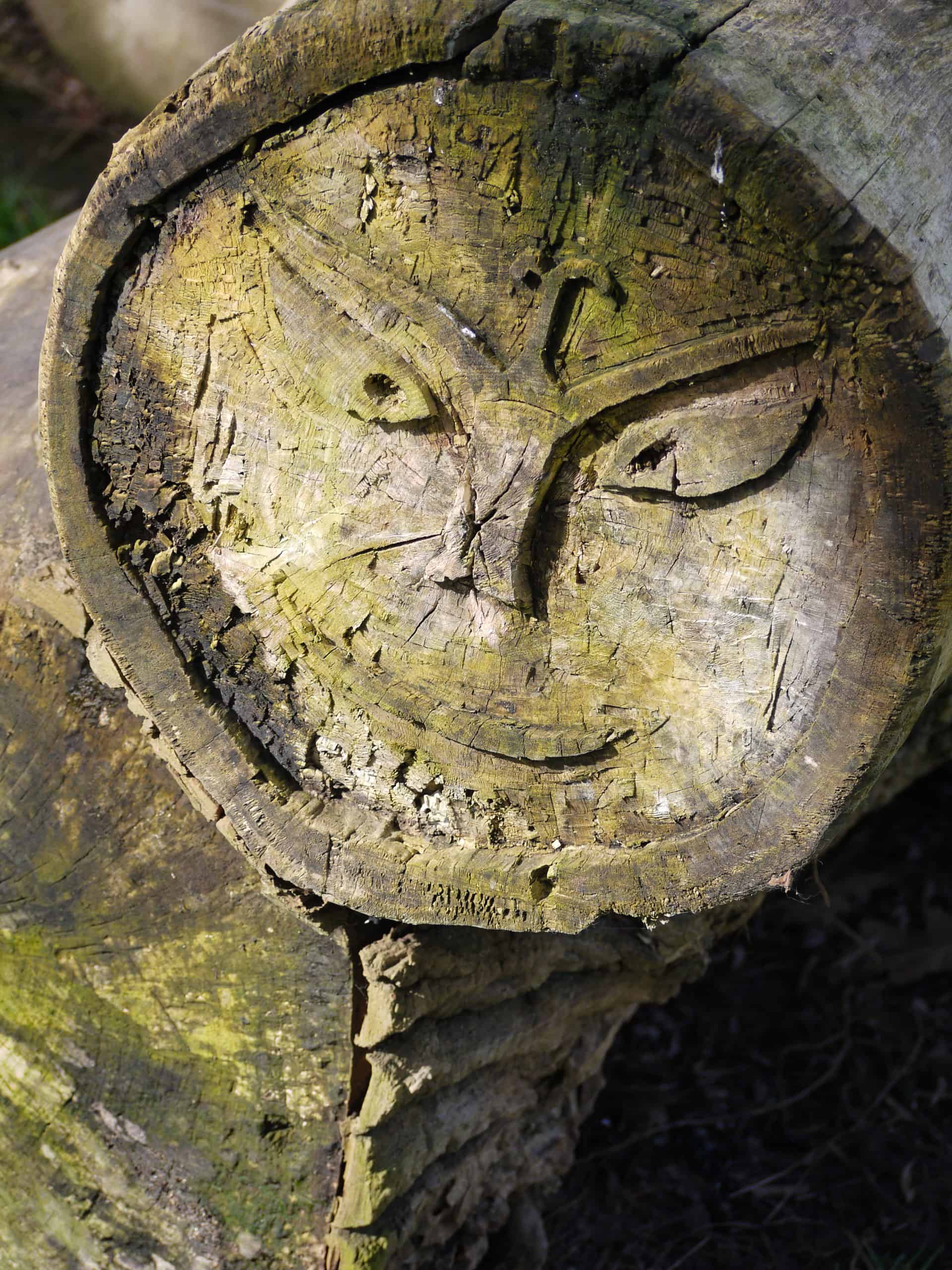 Close-up of a tree stump with a face carved into it, showing detailed eyes, nose, and mouth, set against a natural background.