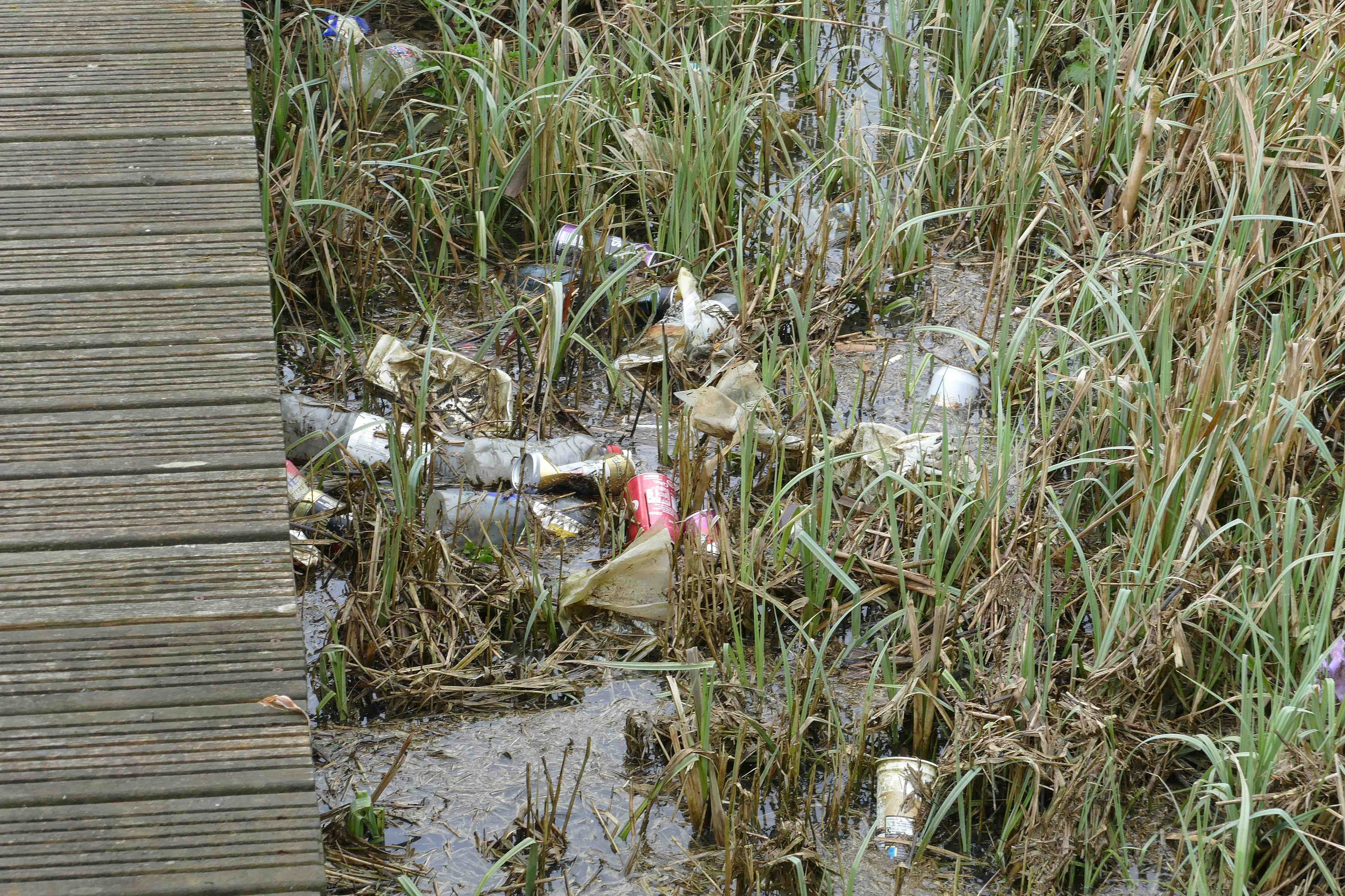 Rubbish in Radipole lake by Martin Jones-Gill