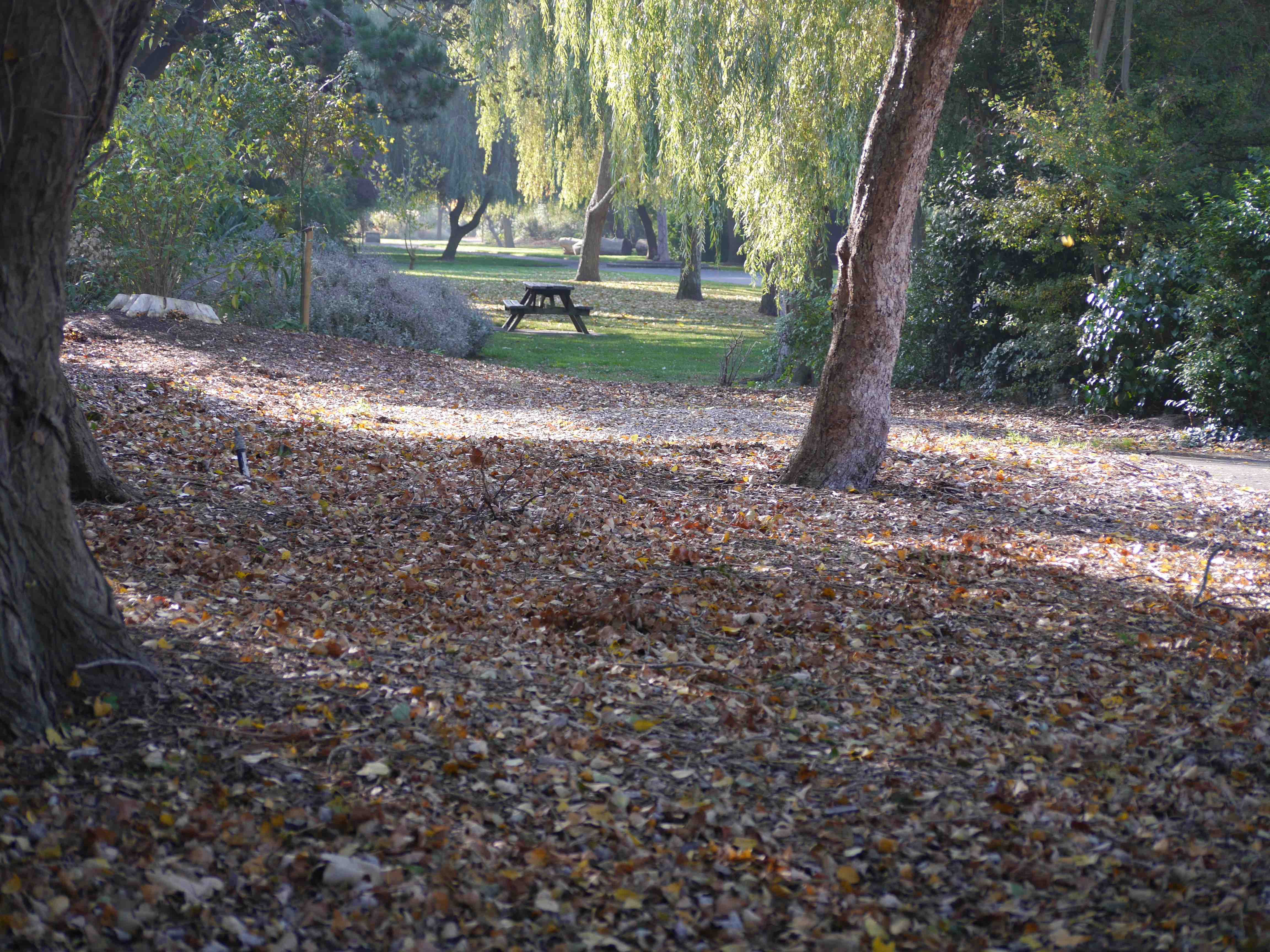 Site of Sensory garden in Radipole gardens