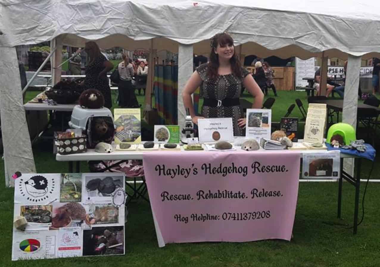 Hayley's Hedgehog Rescue stand