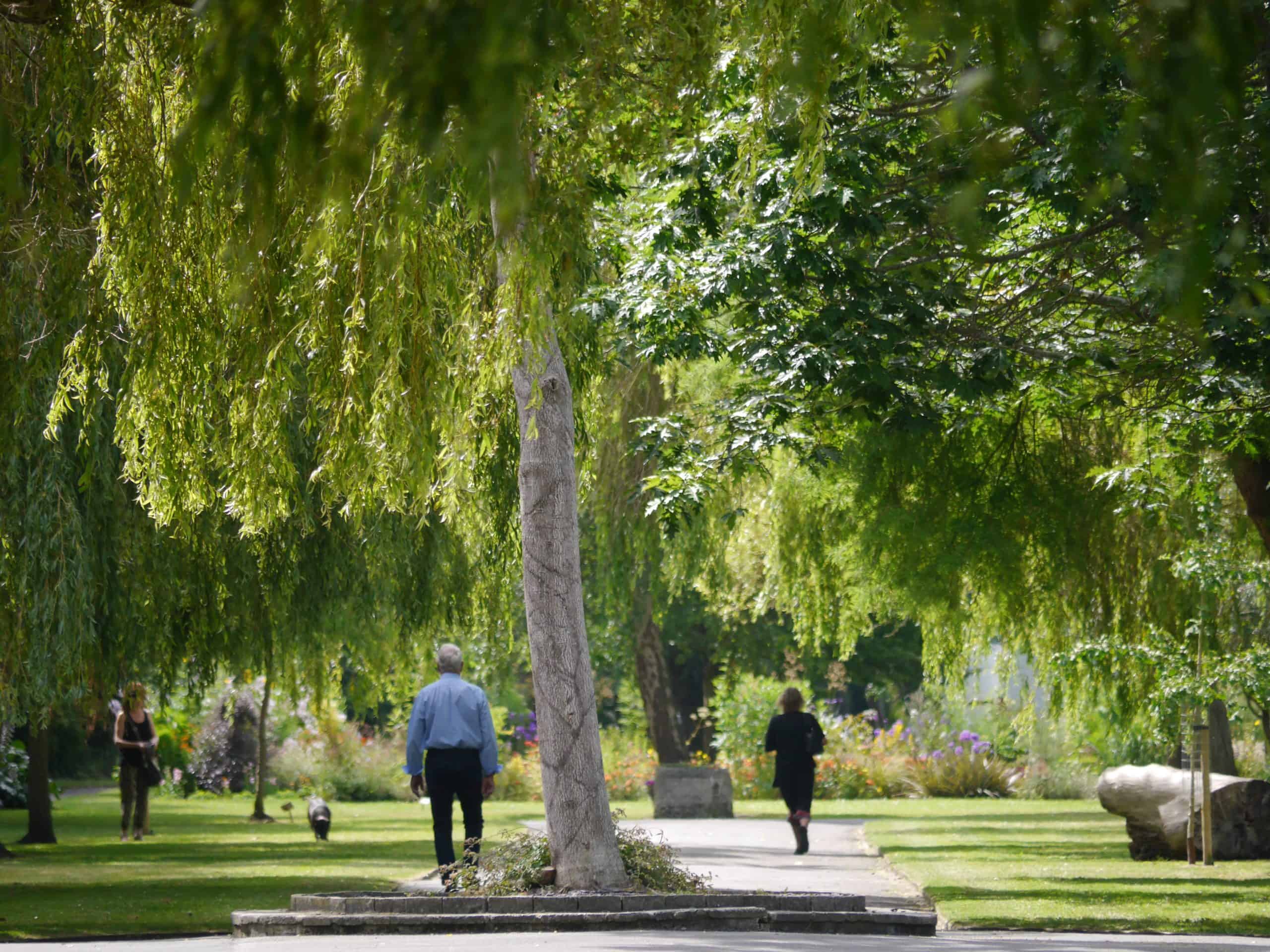 A peaceful park scene with people walking along a path, surrounded by lush green trees and a prominently textured tree trunk in the foreground, capturing the essence of "Summer is Here!