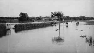 1955 flooding Radipole park drive and park