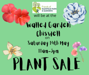 Walled Garden Chiswell plant sale 2022