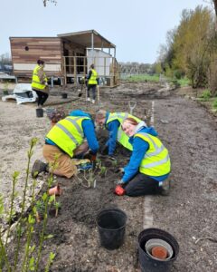 PGL volunteers planting Radipole sensory garden 2024