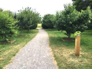 Community orchard and nature trail Radipole park