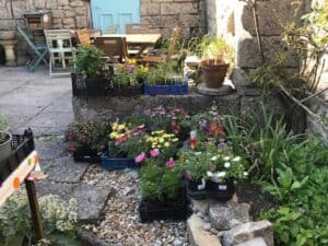 Chiswell Walled garden plant sale 2024
