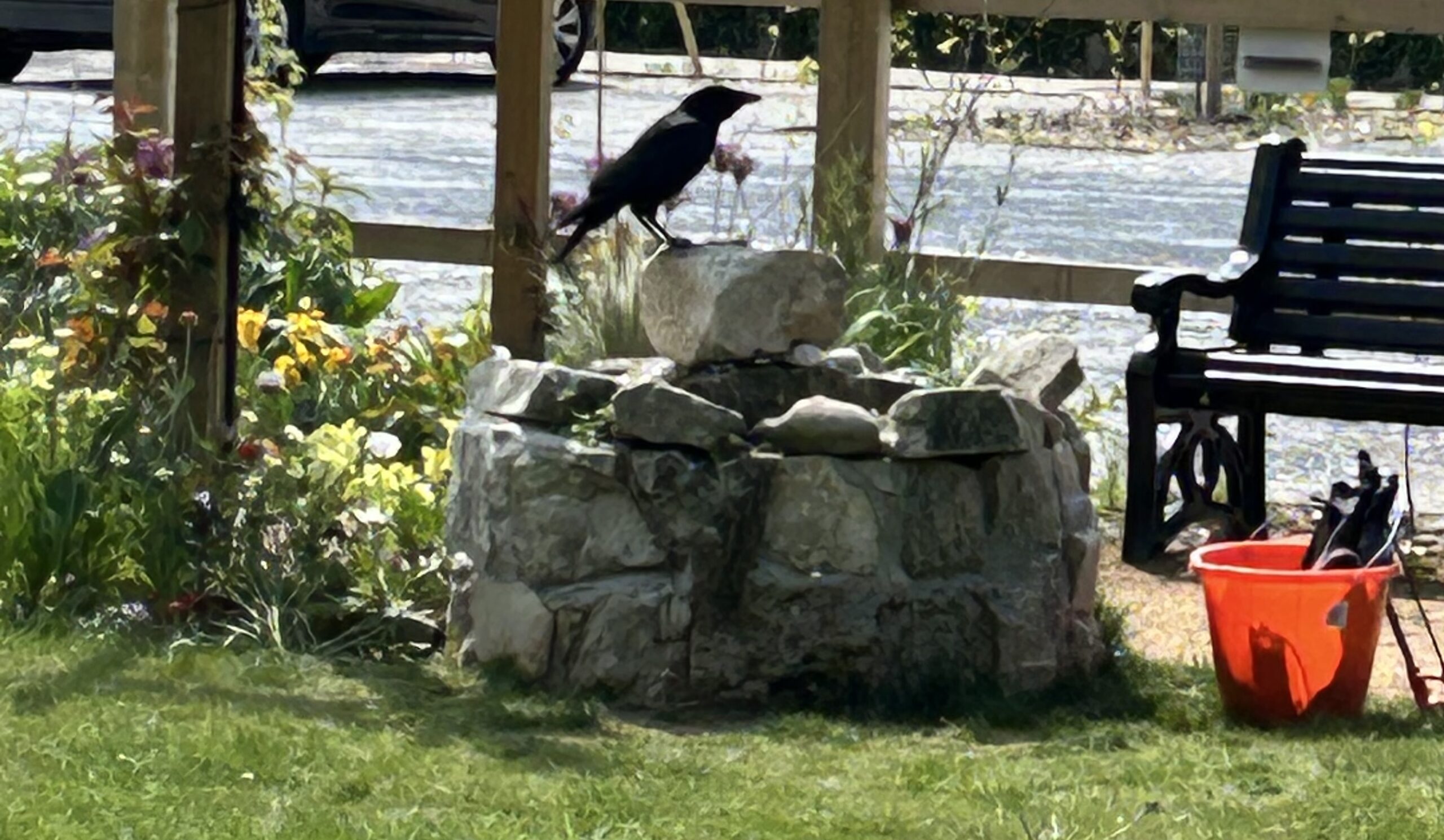 bird Radipole sensory garden fountain
