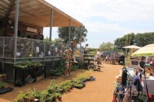 The Friends of Radipole Park & Gardens pop up plant sale June 2025