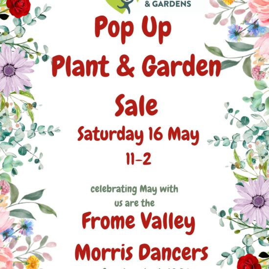 plant sale and Frome Valley Morris Dancers Radipole