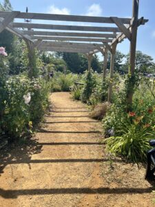 Radipole sensory garden June 2026